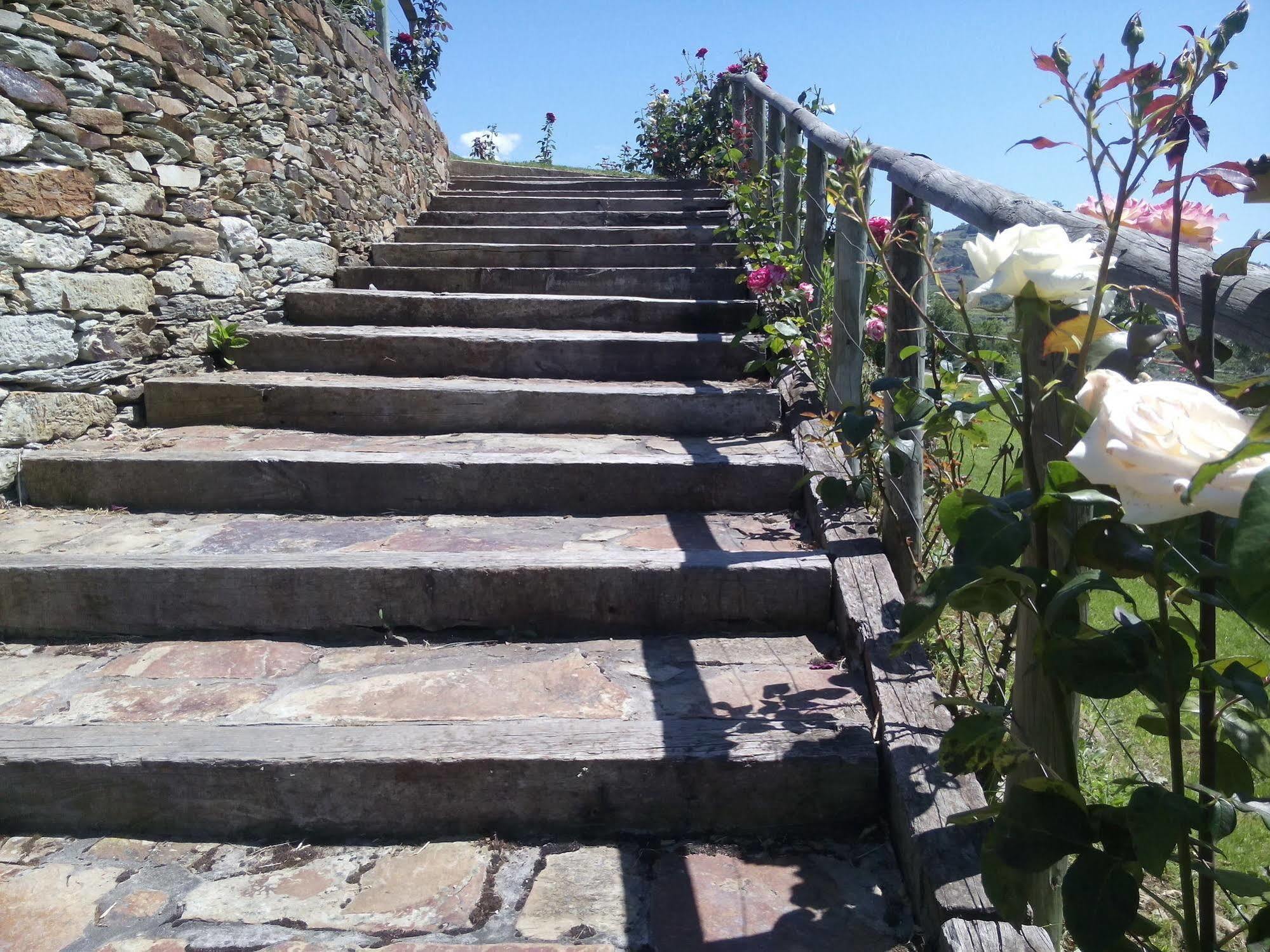 Hotel Rural Da Quinta Do Silval Vale de Mendiz Luaran gambar